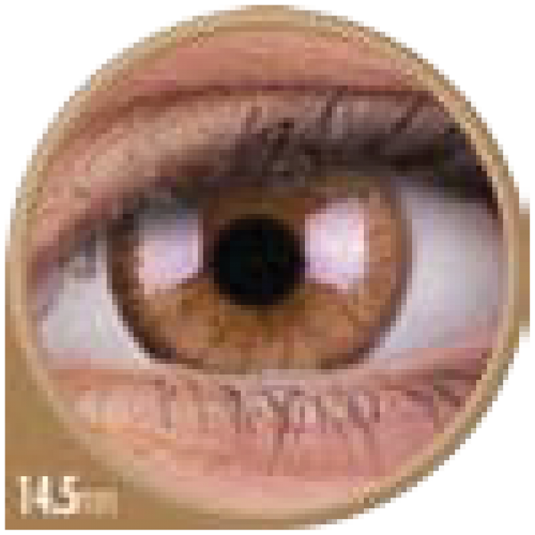 woodybrown-01